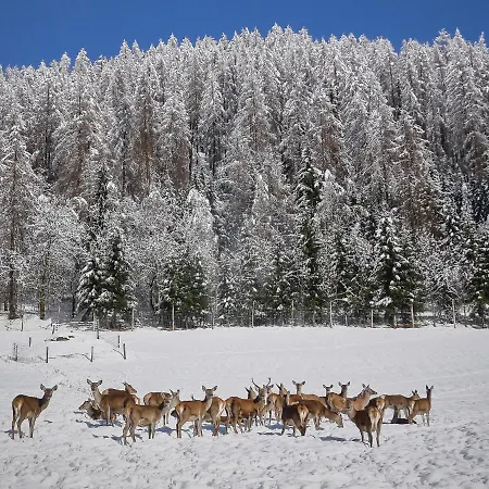 Glockner-1 By Interhome Heiligenblut