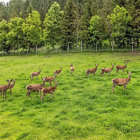 Chalet Glockner-1 By Interhome *