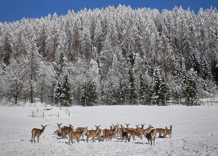 Glockner-1 By Interhome Heiligenblut