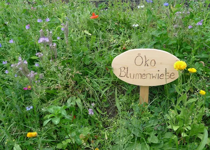 Glockner-1 By Interhome Heiligenblut