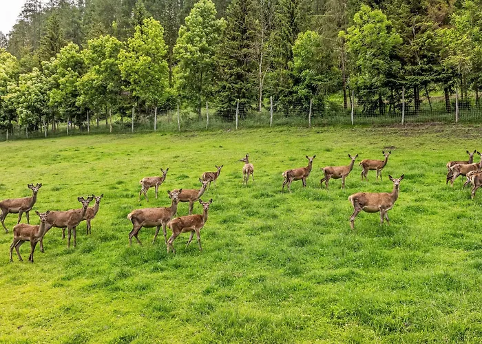 Alpesi faház Glockner-1 By Interhome *